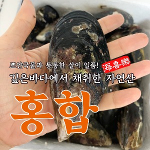 충남 태안 자연산 오리지널 홍합 1kg
