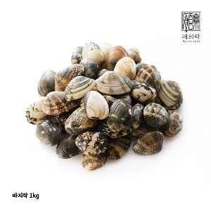 충남 태안 청정갯벌 자연산 바지락 1kg